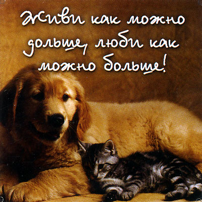 Магнит "Живи как можно дольше " х 6,5 см Материал: пластик инфо 2718c.