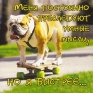 Магнит "Меня постоянно преследуют умные мысли, но я быстрее " х 6 см Материал: пластик инфо 2790c.
