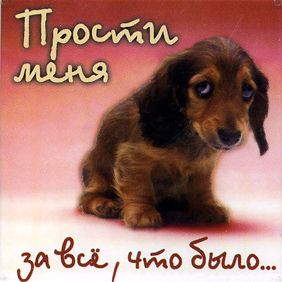 Магнит "Прости меня " х 6,5 см Материал: пластик инфо 2797c.