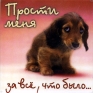 Магнит "Прости меня " х 6,5 см Материал: пластик инфо 2797c.