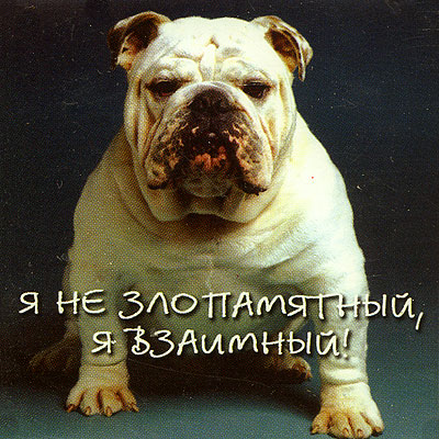Магнит "Я не злопамятный " х 6 см Материал: пластик инфо 2805c.