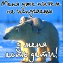 Магнит "Меня уже ничем " х 6,5 см Материал: пластик инфо 2815c.