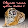 Магнит "Говорить имеет право только я!" пластик Изготовитель: Россия Артикул: М658 инфо 2848c.
