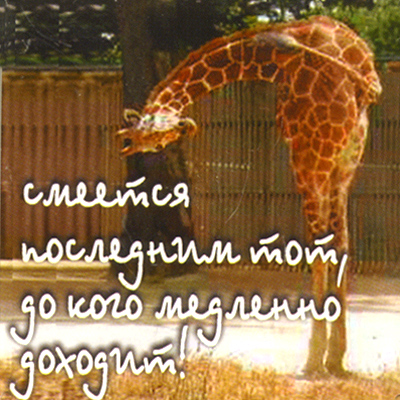 Магнит "Смеется последним " х 6,5 см Материал: пластик инфо 8863c.