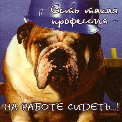 Магнит "Есть такая профессия " х 6 см Материал: пластик инфо 1001d.