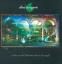 The Tangent The World That We Drive Through Формат: Audio CD (Jewel Case) Дистрибьютор: Концерн "Группа Союз" Лицензионные товары Характеристики аудионосителей 2004 г Альбом инфо 13087f.