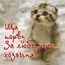 Магнит "Ща порву за любимого хозяина!" пластик Изготовитель: Россия Артикул: М-405 инфо 6820h.