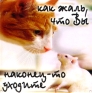 Магнит "Как жаль, что Вы наконец-то уходите " х 6,5 см Материал: пластик инфо 6822h.