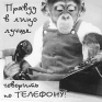 Магнит "Правду в лицо лучше говорить по телефону!" пластик Производитель: Россия Артикул: М-532 инфо 6830h.