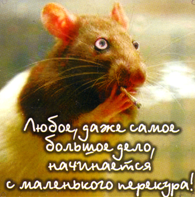 Магнит "Любое, даже самое " х 6,5 см Материал: пластик инфо 6859h.