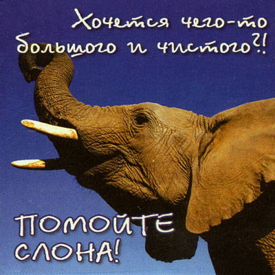 Магнит "Хочется чего-то большого и чистого?!" х 6 см Материал: пластик инфо 6863h.